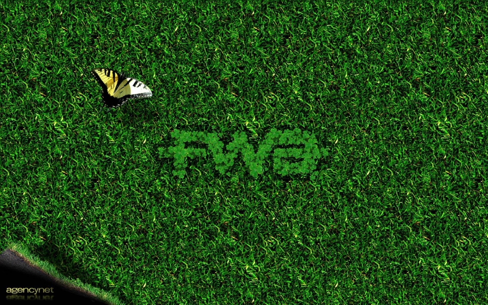 宽屏FWA 第二辑