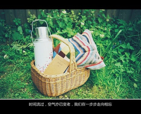 量贩一组小清新