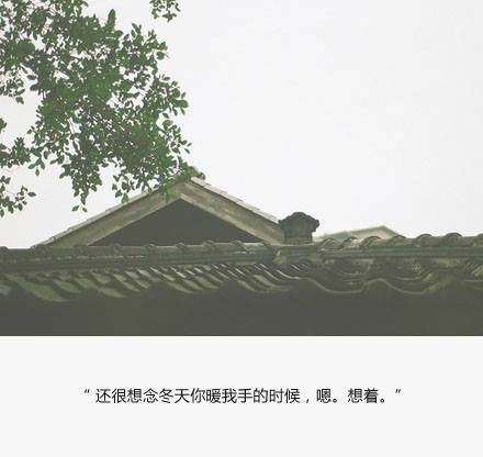 路遇：谁让我笑着悲伤 谁让我想忘又不能忘
