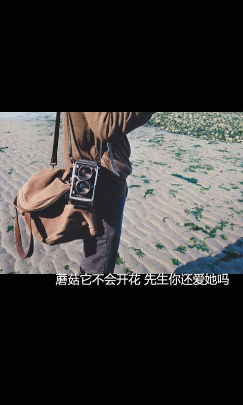 文字图片 先生你还爱他吗