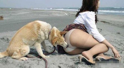<b>是这里的味道好？</b>