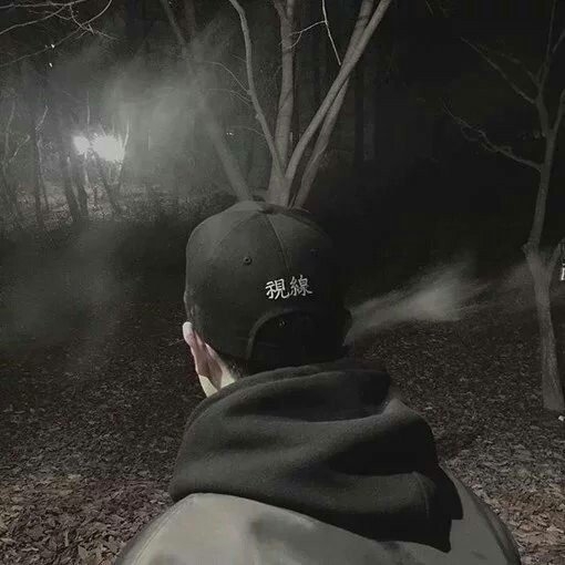 令人感动的感情不是每天花言巧语 所有深爱的 都是秘密