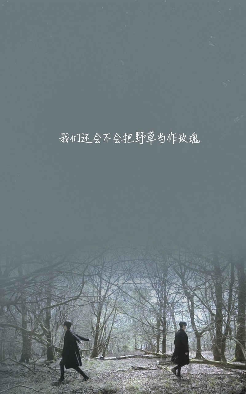 孤独寂寞伤感文字高清唯美壁纸