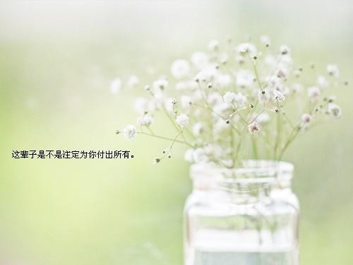 那些文字，我们的心情和岁月_空间图片