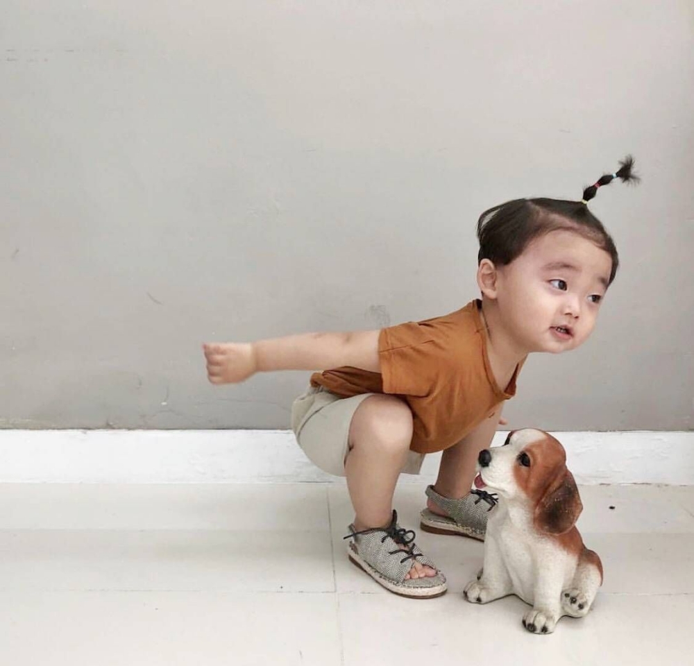 一小只 想抱走