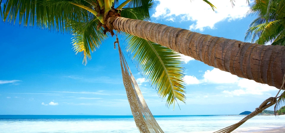 海滩,椰树,吊床,蓝色大海天空风景桌面壁纸
