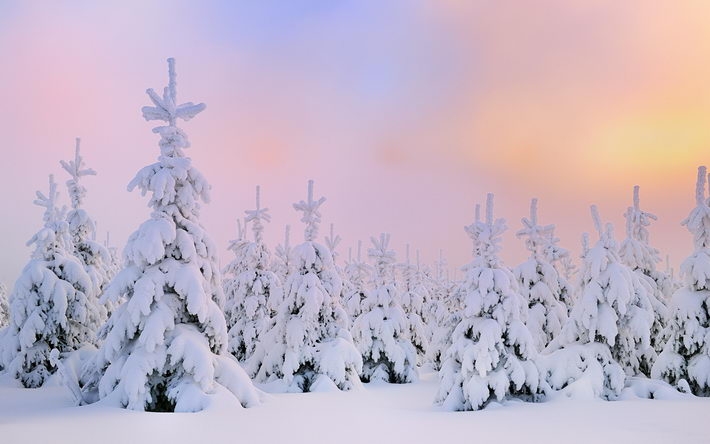 雪景风光摄影宽屏壁纸