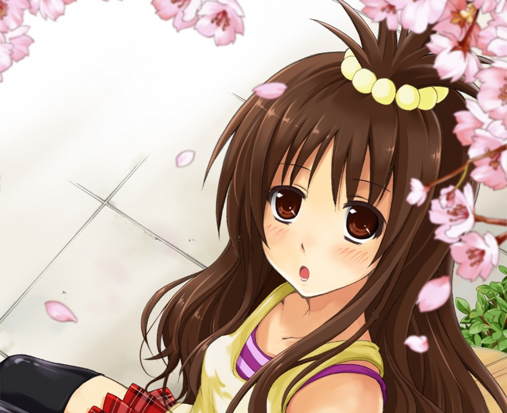 To Love结城美绀电脑壁纸