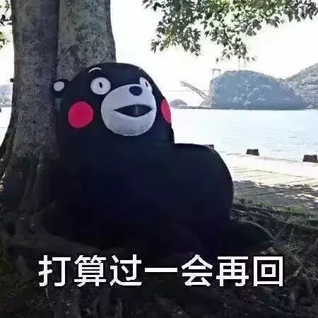 真理是这样的