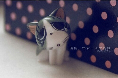 卡哇伊起司猫