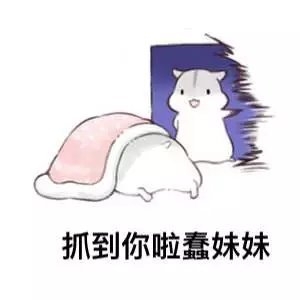妹妹，我错了