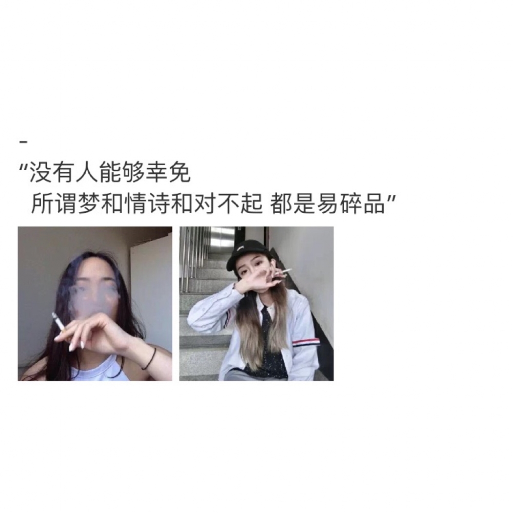 如果我是猫 九条命都想和你过