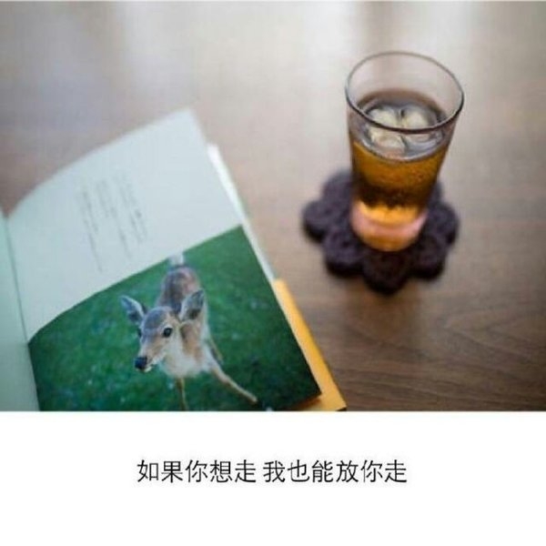 无论你喜欢谁 请你记住留下给我这位置