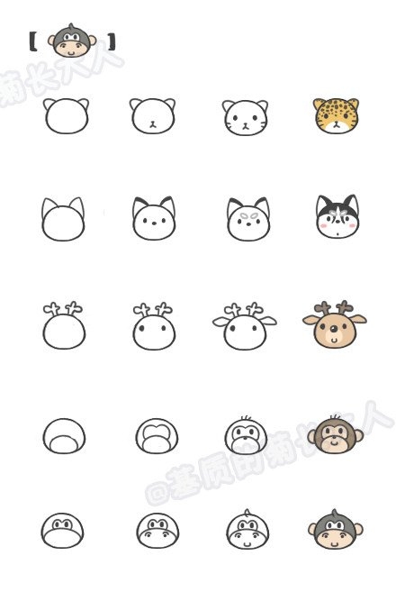 宠物教图
