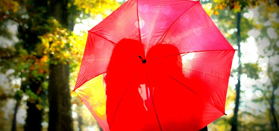 森林,恋人,红色雨伞,亲吻,桌面壁纸