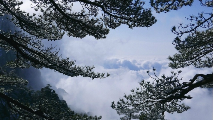风景区黄山风光电脑壁纸