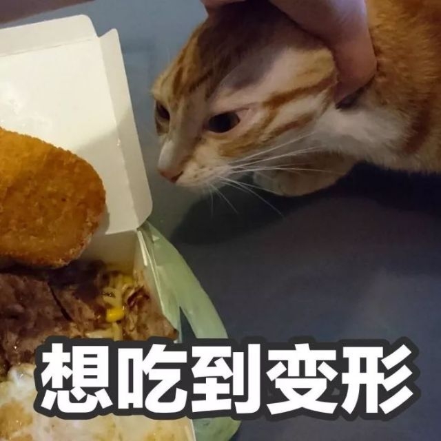 量多！量大！