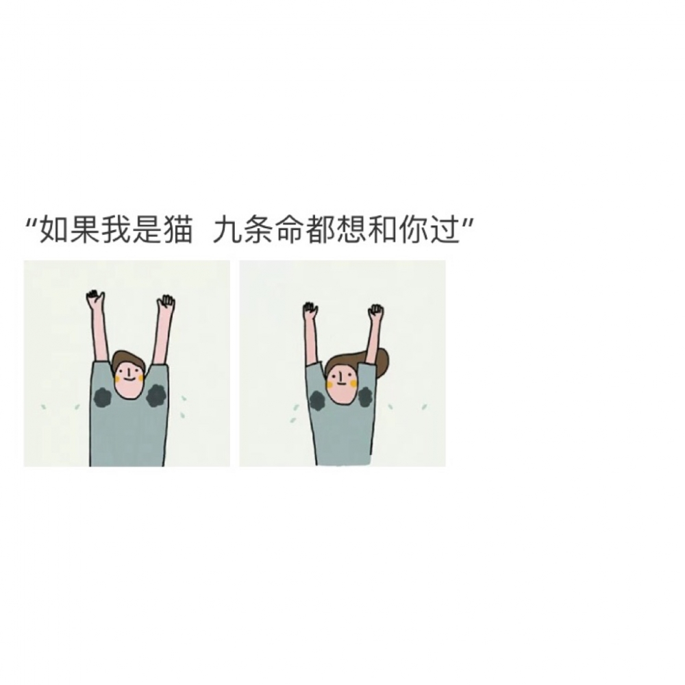 如果我是猫 九条命都想和你过
