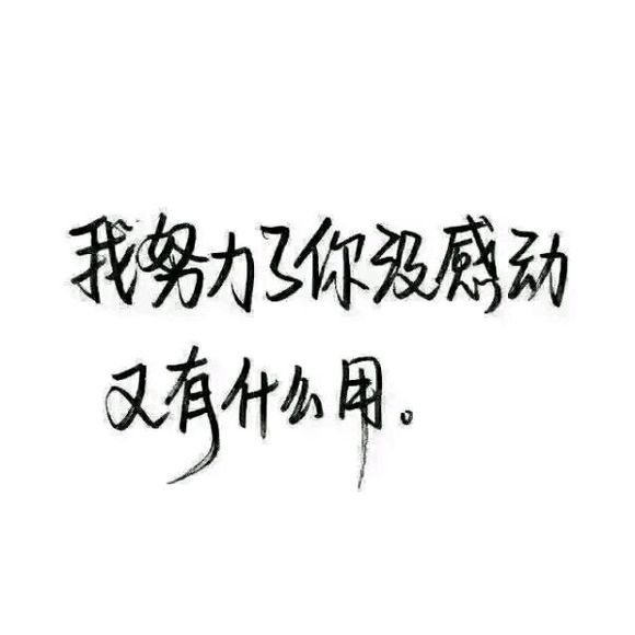 我努力了你没敢动，又有什么用