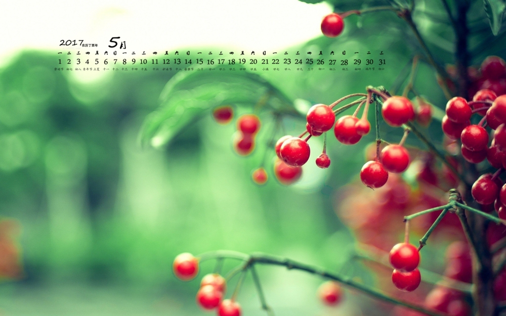 2017年5月清新绿色植物护眼日历壁纸