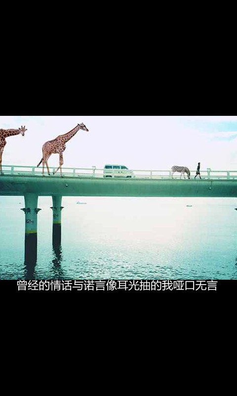 有些记忆，注定无法抹去