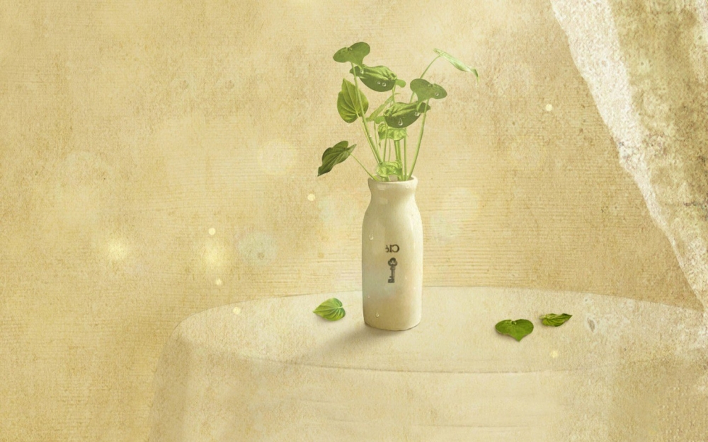 小清新花瓶植物简约壁纸