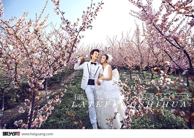 陶花园 婚纱照