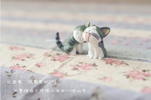 卡哇伊起司猫