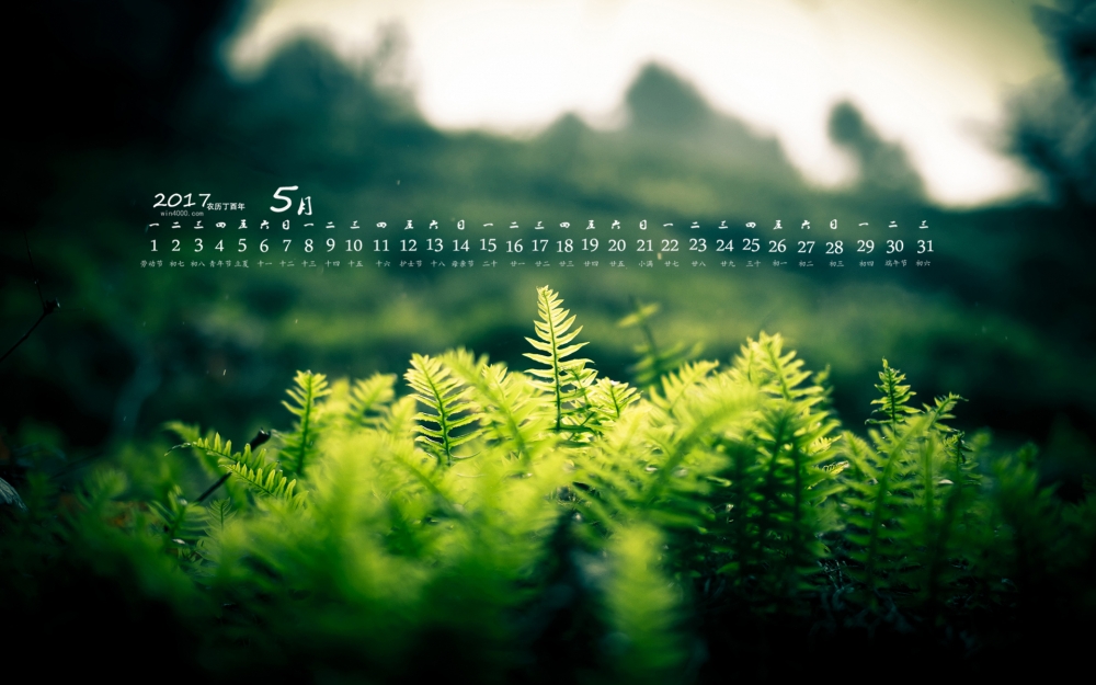2017年5月清新绿色植物护眼日历壁纸