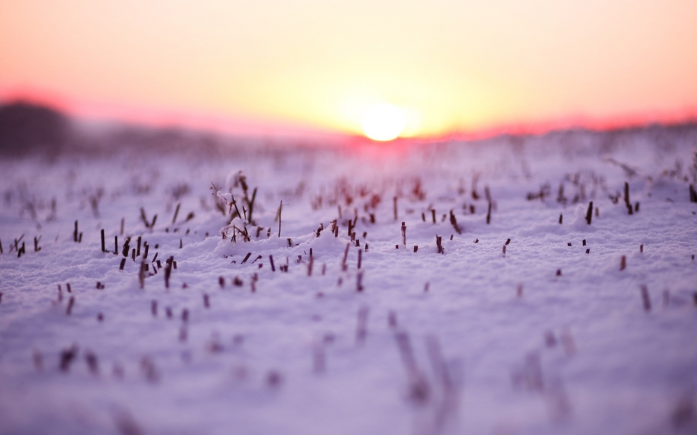 高清唯美冬季雪景宽屏电脑桌面壁纸