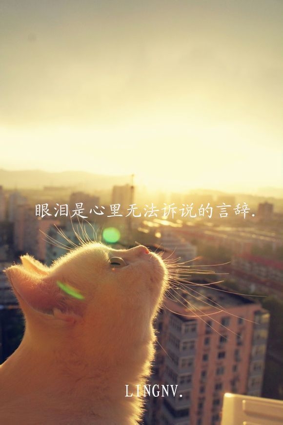 懵懂-
