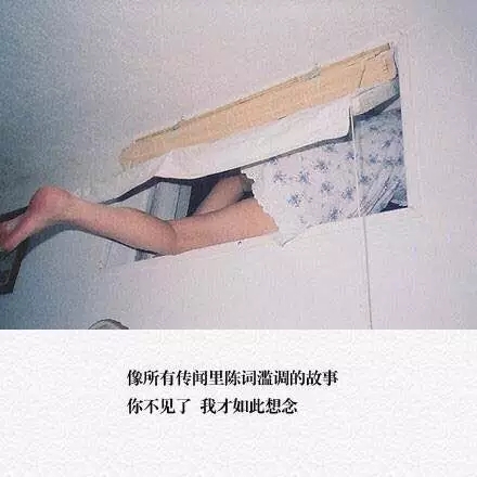 小仙女：“星光不问过路人”