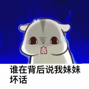 妹妹，我错了
