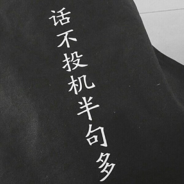 希望你如锦绣山河 万人向往 却属于我.