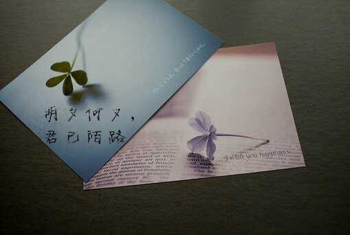 你是我的東南西北 胜過一切苍山泱水