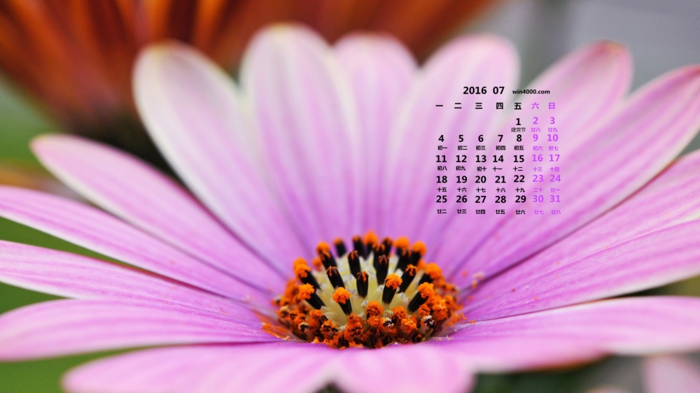 2016年7月日历鲜花摄影壁纸第一辑