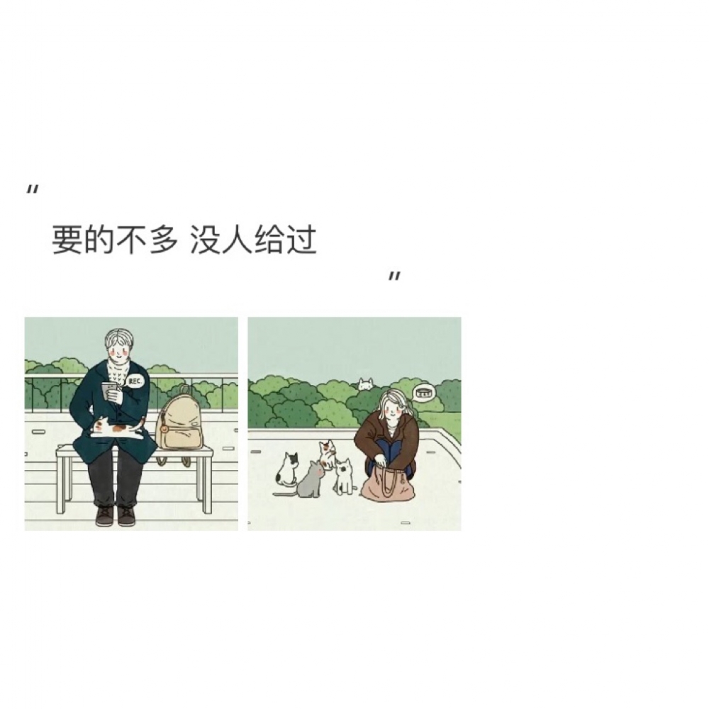 如果我是猫 九条命都想和你过