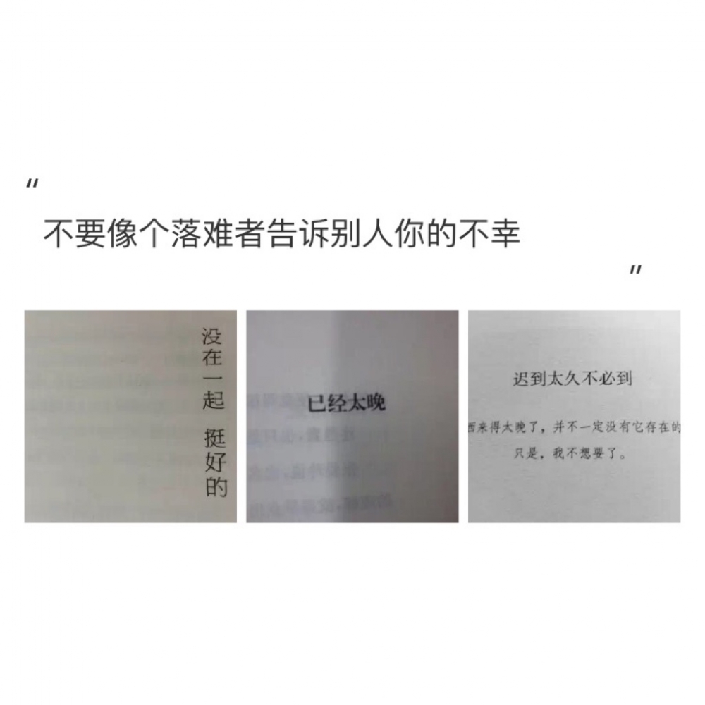 如果我是猫 九条命都想和你过