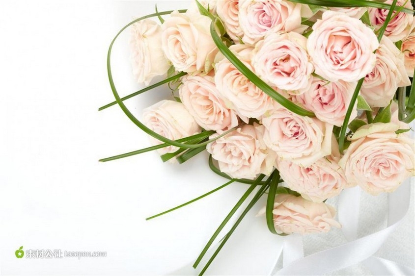 唯美鲜花粉色玫瑰花束图片素材