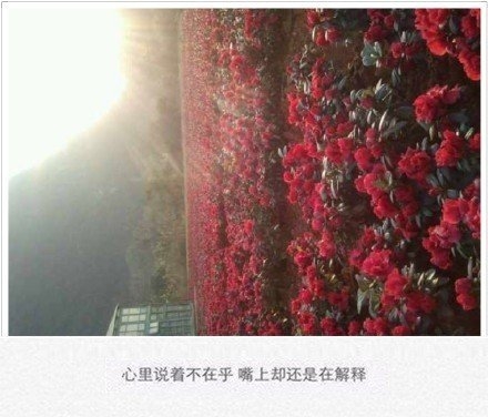 心里说着不在乎，嘴上却还是一直在解释