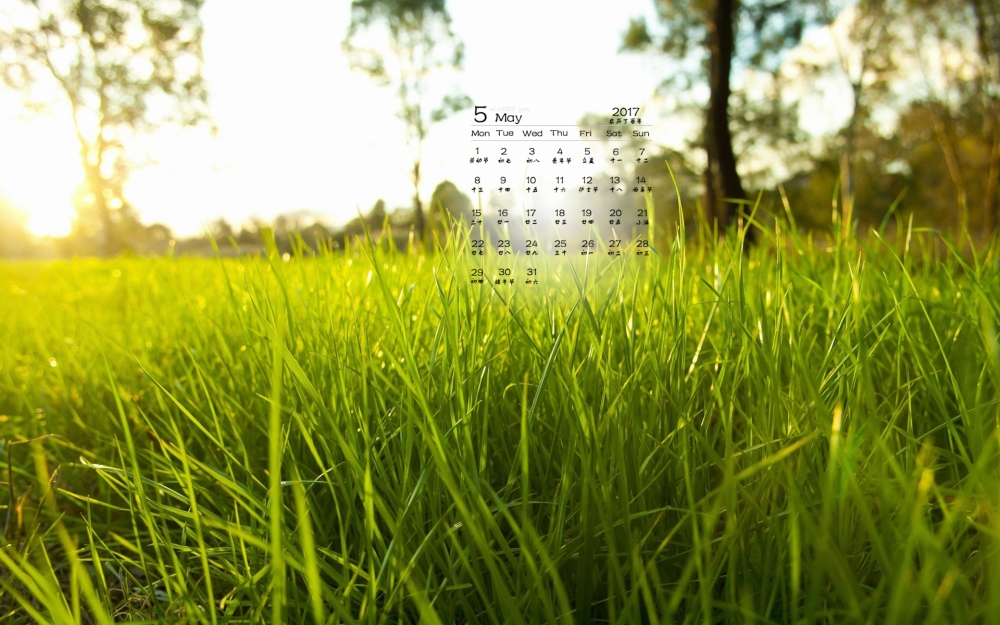 2017年5月清新绿色植物护眼日历壁纸
