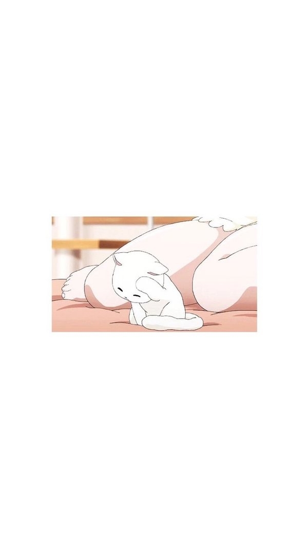 三观渐行渐远 自然分道扬镳