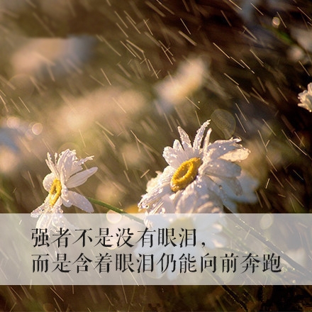 抢着是没有眼泪的，而是含着眼泪仍能向前奔跑