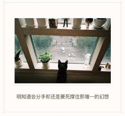 越长大越孤独