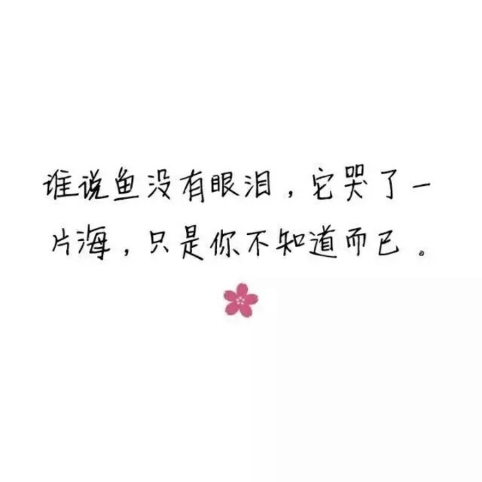 有个人说，没有面包的爱情会饿死