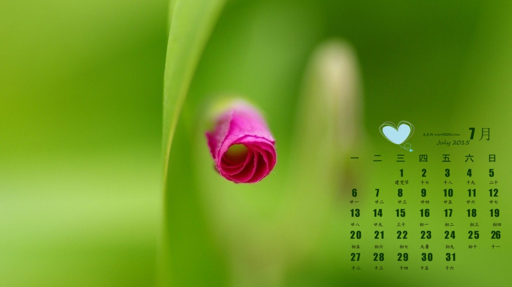 2015年7月日历精选高清护眼小清新植物花卉风景桌面壁纸下载