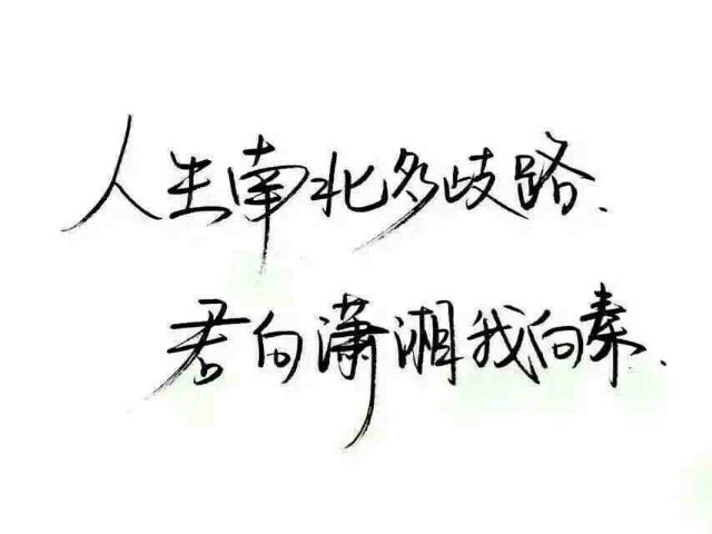 万般感情皆输岁月慢慢