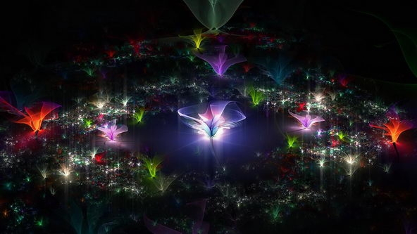 梦幻花朵高清电脑桌面大全 第一辑