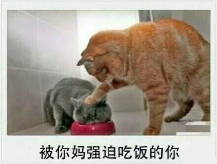 神話:是不是春节的你