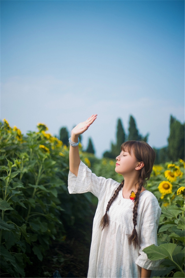 向日葵气质美女手机桌面壁纸下载